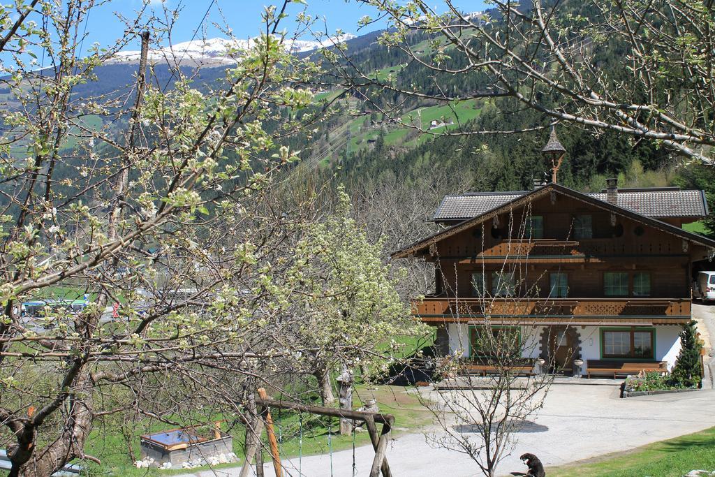 Klammhof Appartement